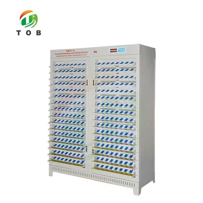 Kottipatarei mahutester